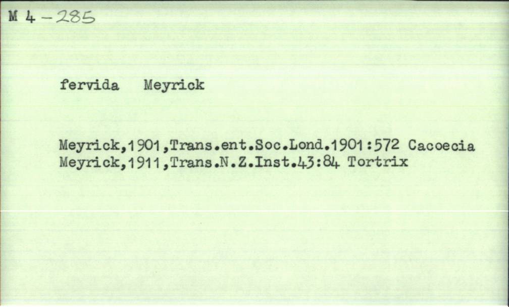 front of card